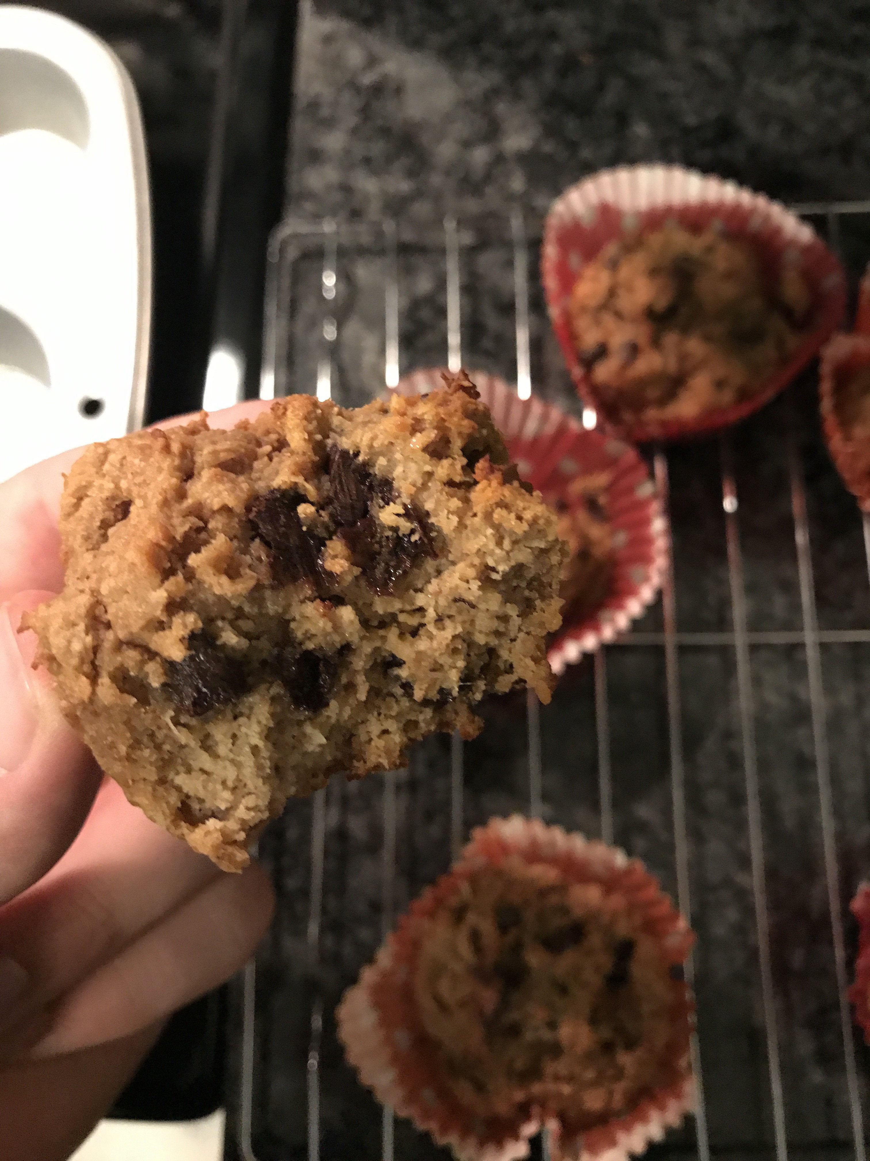 5 Ingredient Chocolate Chip Protein Muffins